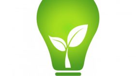 Ecology Think Green Light Bulb